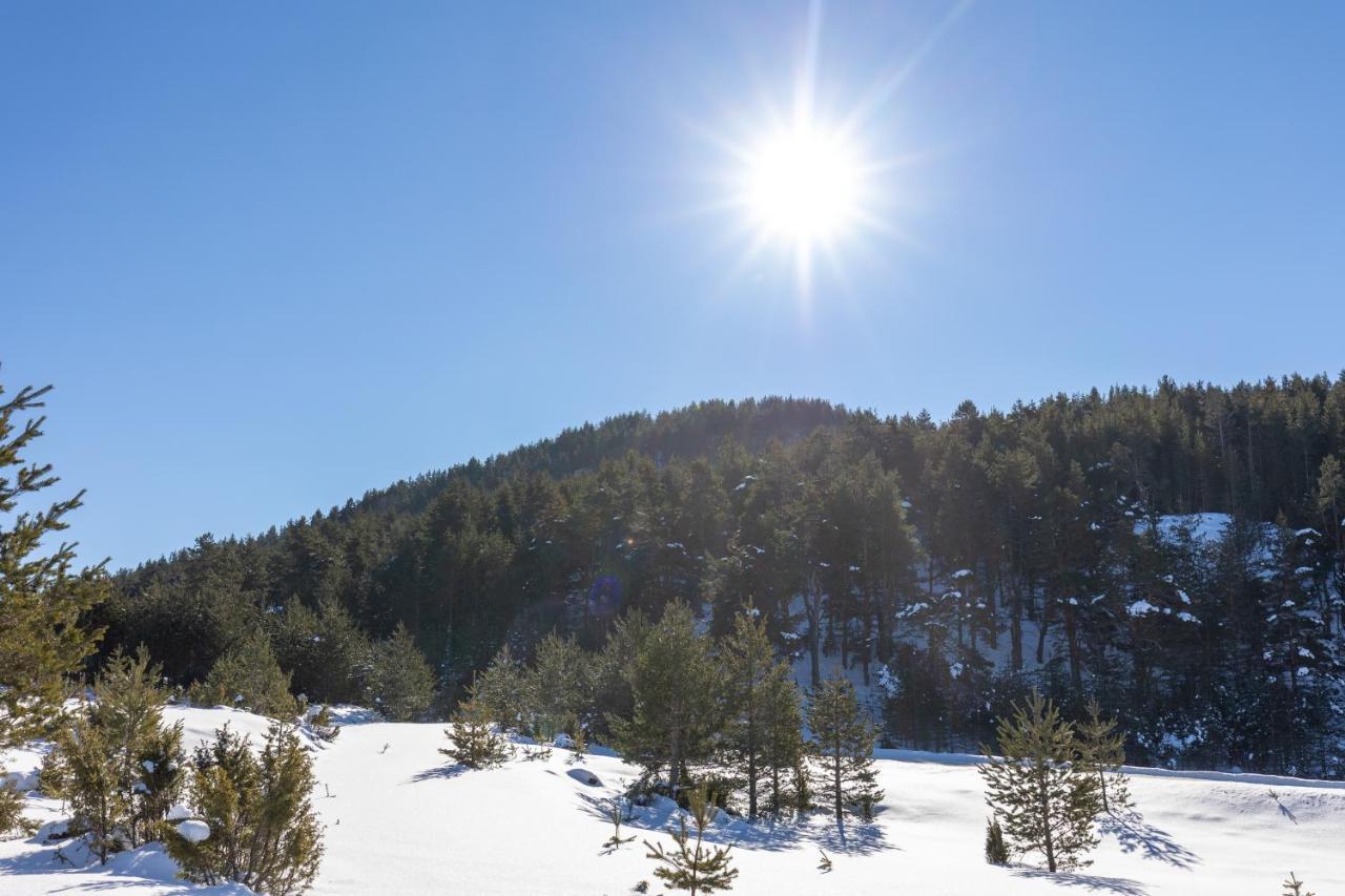 Vila Hanovi Zabljak المظهر الخارجي الصورة
