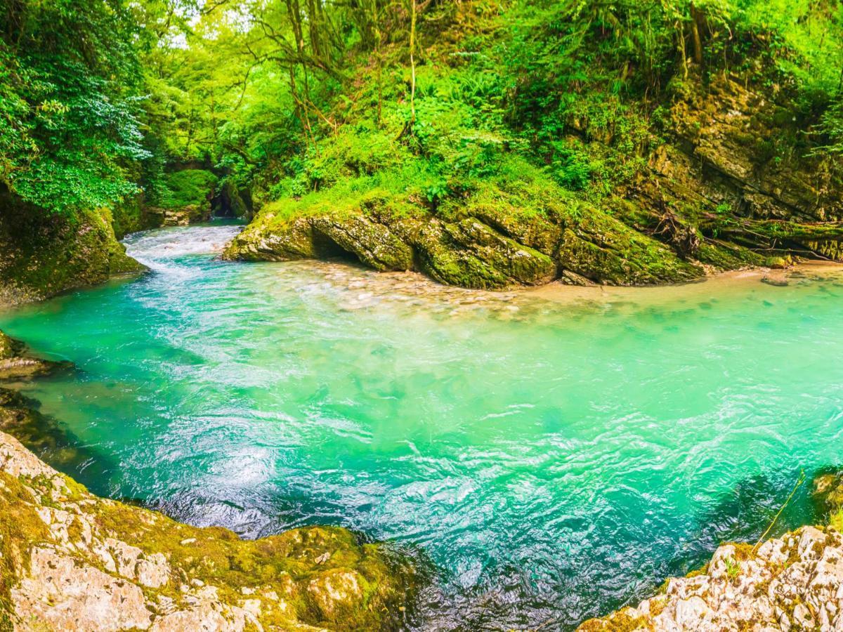 Vila Hanovi Zabljak المظهر الخارجي الصورة